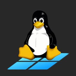 Thumbnail for Access WSL2 from your Network